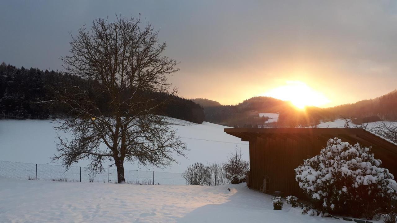 Ferienwohnung Eichkatzel Zell Extérieur photo